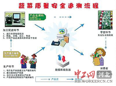 澳门一肖一码精准分析