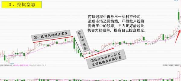 新澳门精准免费查看八百图库