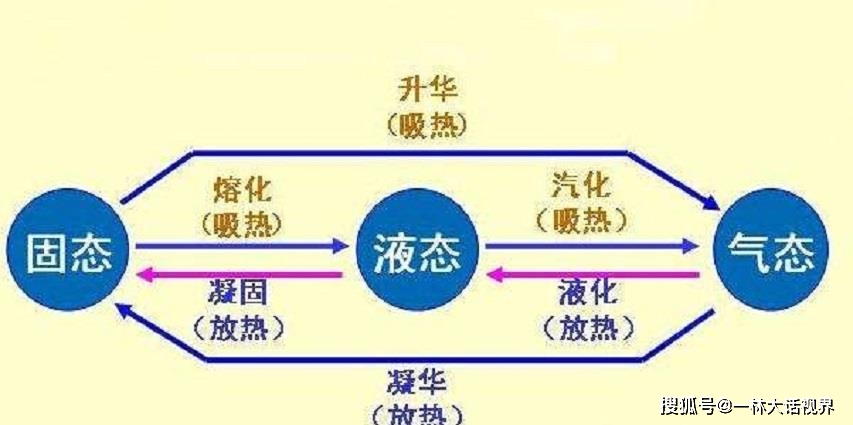 新澳门彩霸王,新澳门彩霸王，重要性解析方法与未来展望（非赌博相关内容）,可靠策略分析_进阶款34.81.97