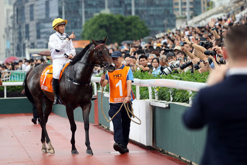 香港2024最准马资料免费