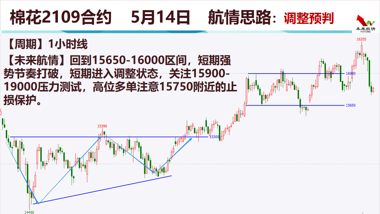 2024年12生肖49码图片,揭秘未来生肖文化，一场关于2024年十二生肖与数字解码的奇幻之旅,合理化决策实施评审_Premium94.78.97