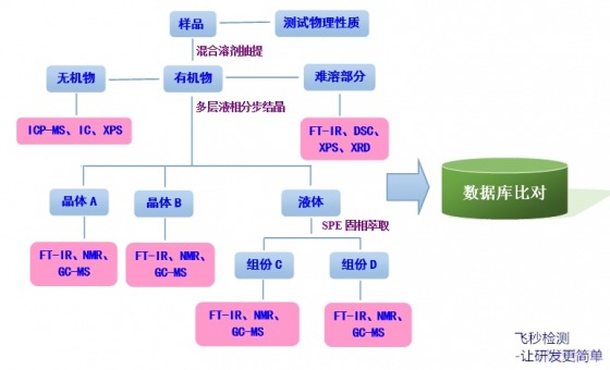 2024年12月28日 第6页