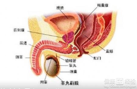 前列腺肥大吃什么药效果好见效快些