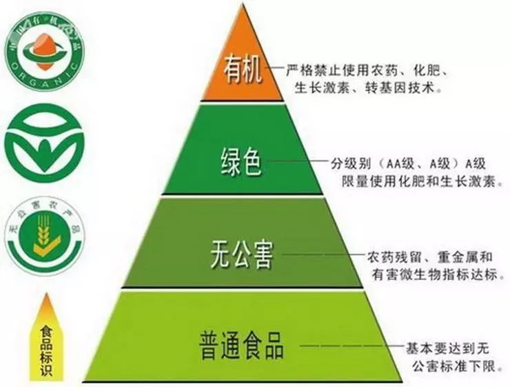 农药与合成药物是化学吗还是物理