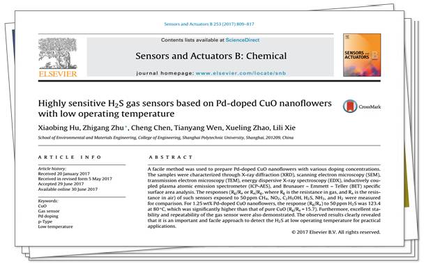 气体传感器研究方向怎么样