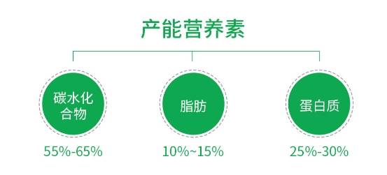 营养健康的减肥方法,营养健康的减肥方法与实地考察数据解析,最新数据解释定义_set56.22.16