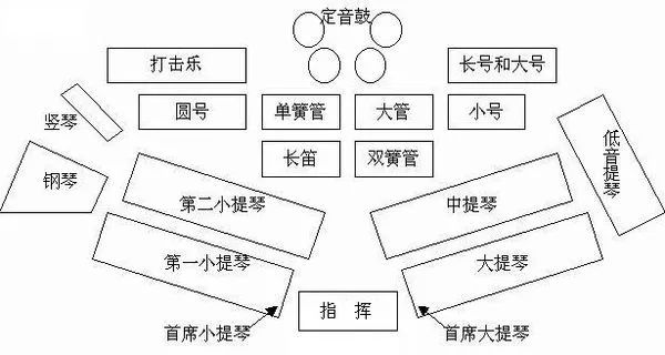 弹拨乐器的原理