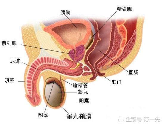 前列腺炎治疗费用能报销吗