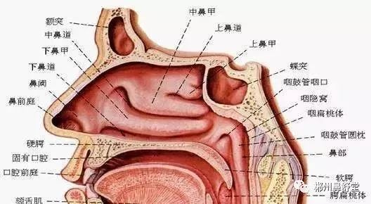 慢性鼻窦炎有哪些症状