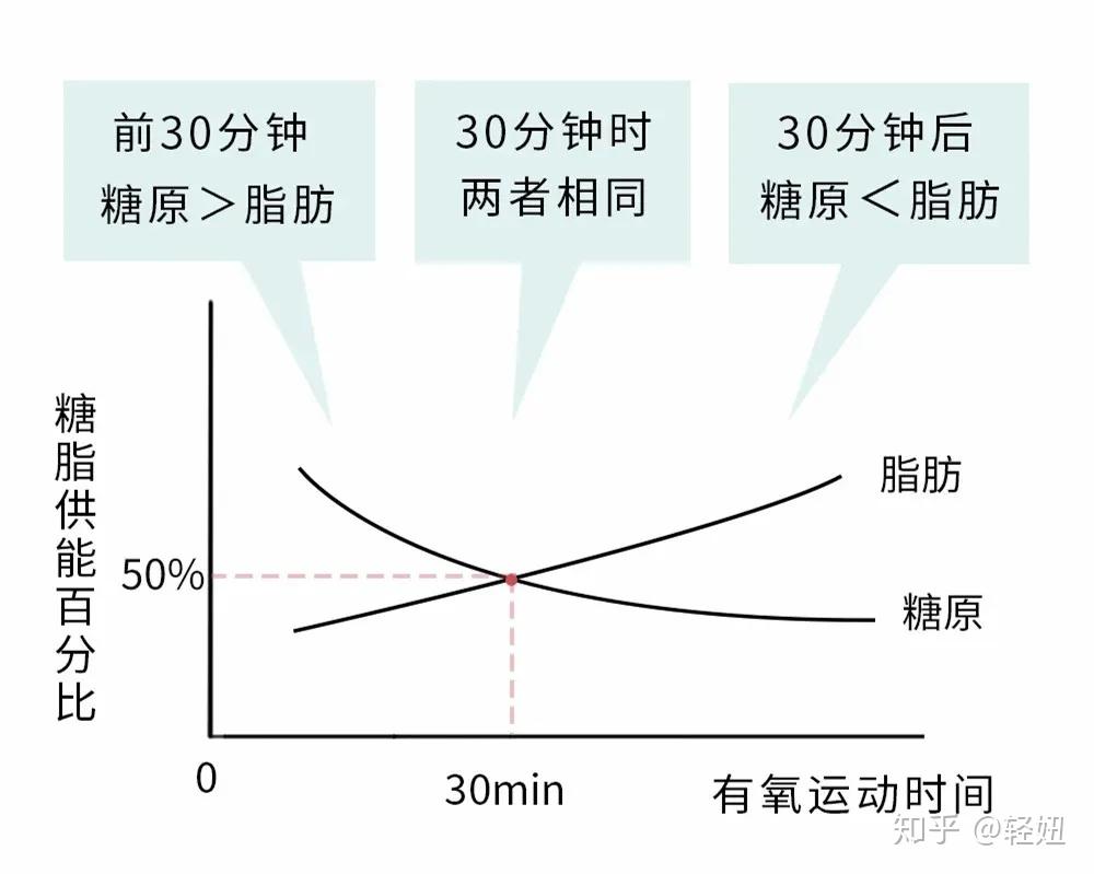 生酮减肥法的原理