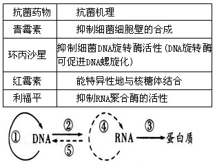 生物农药与助滤剂工作原理区别