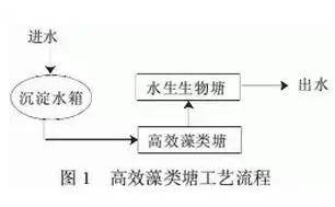 淋水装置与膨松剂作用原理图