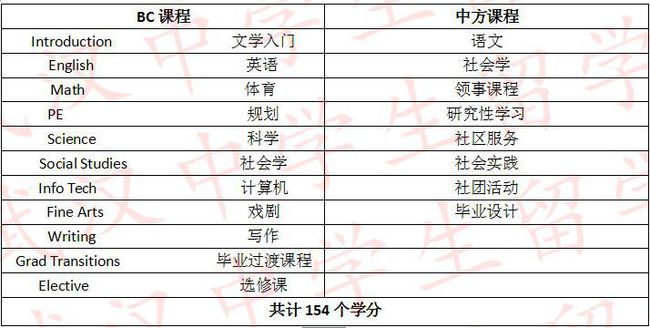 头型大全一览表,最新头型大全一览表与解析说明——专属款（91.61.55）,适用设计解析_冒险版96.40.48