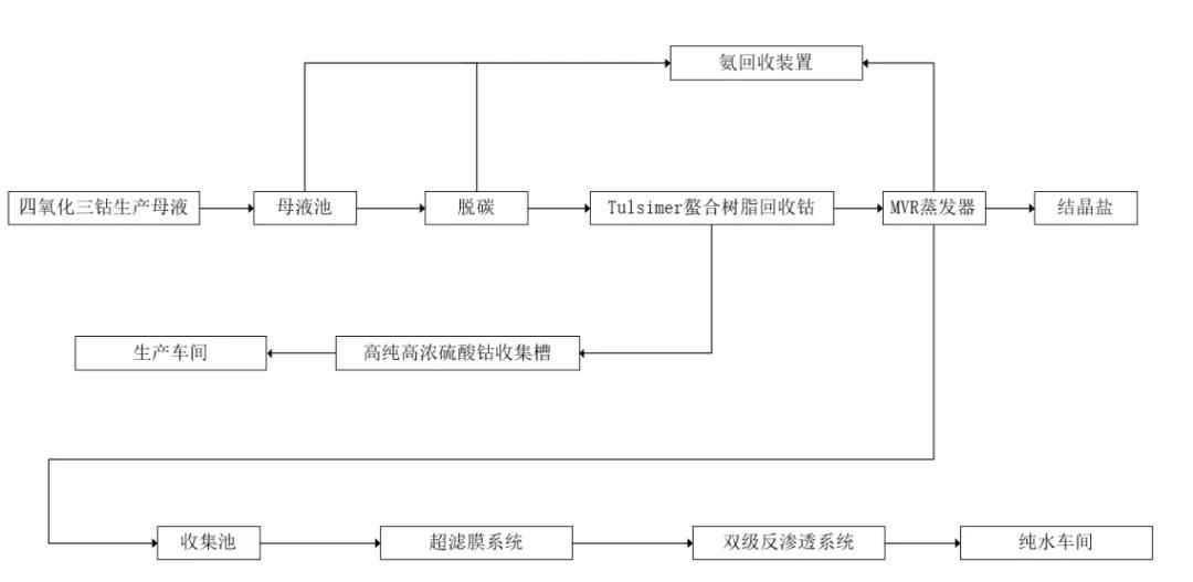 离子交换树脂系统,离子交换树脂系统与数据支持策略解析体验版 19.50.15,深度应用策略数据_专属款93.83.73