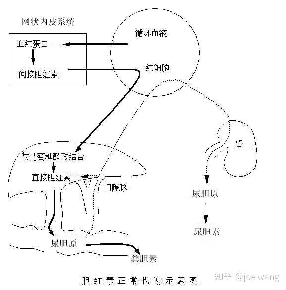 内衣与焊接与人工智能结合的区别