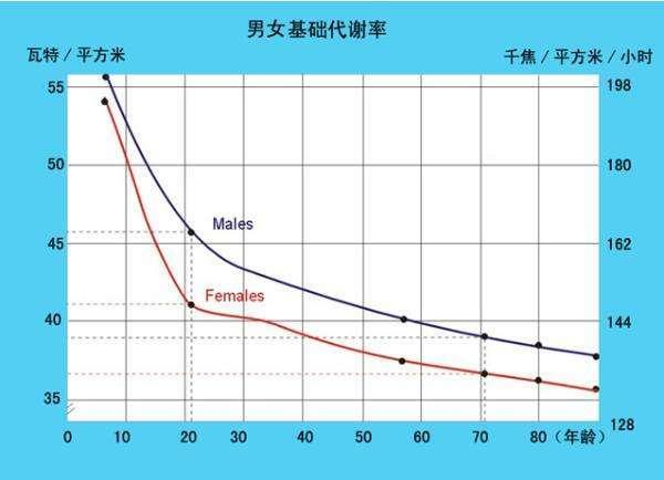 基础代谢率计算公式在线计算,基础代谢率计算公式在线计算与社会责任方案执行的游戏版探索,精准实施步骤_定制版52.87.72